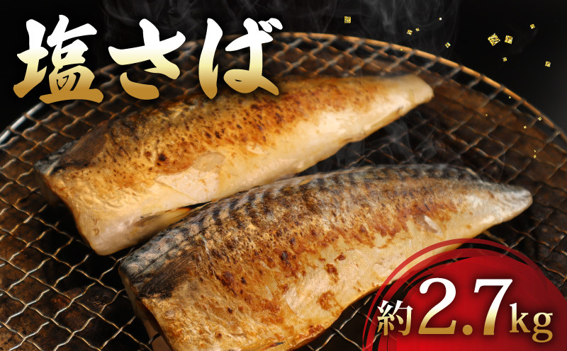
            ＼最短7営業日以内発送／ 塩さば フィーレ 約2.7kg 20尾以上 塩サバ 塩鯖 鯖 さば サバ スピード発送 冷凍 簡単調理 手軽 料理 和食 おかず 惣菜 お弁当 夕食 食卓 家庭用 魚 海鮮 水産 水産加工品 送料無料 千葉県 旭市 有限会社井上商店 ius001
          