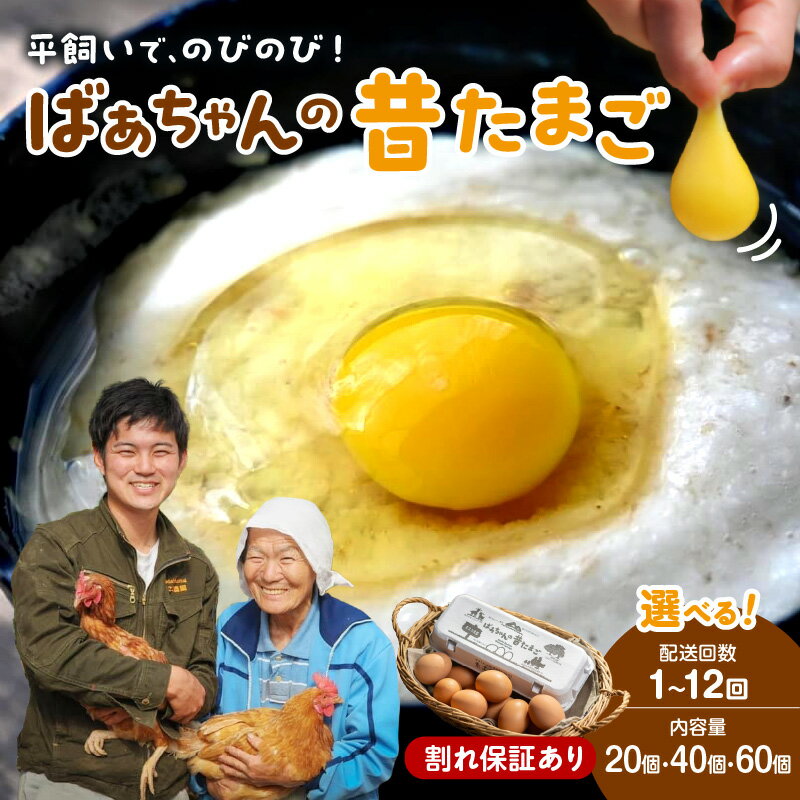 放し飼いで のびのび養鶏！ばあちゃんの昔たまご（計40個）