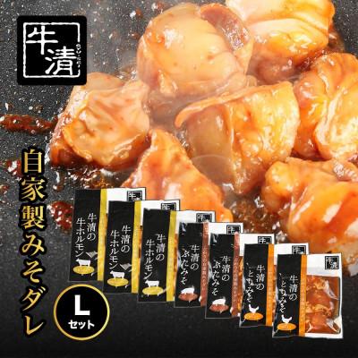 ふるさと納税 南伊勢町 特製みそダレ Lセット ホルモン200g×2・300g×1、豚肉×2、鶏肉×2 伊勢志摩地域の牛清
