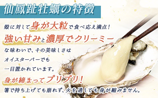 【先行予約】仙鳳趾名産 牡蠣 100～149g×40個+かきナイフ付K4-2【配送不可地域：離島・沖縄県・信越、北陸・東海・近畿・中国・四国・九州】