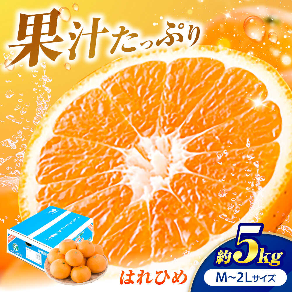 【ふるさと納税】はれひめ M-2Lサイズ 約5kg【12月上旬から翌年1月上旬まで順次発送】 / フルーツ 果物 蜜柑 ミカン オレンジ 甘い 先行予約 5kg 愛媛 果汁 さっぱり 詰め合わせ 旬の果物 旬 人気 おすすめ/ 愛媛県砥部町/株式会社フジ・アグリフーズ[BJBI005]