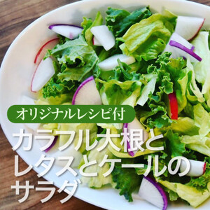 【毎月定期便】【上旬発送】こだわりの旬野菜BOX「リエビン」季節の野菜セット全12回【配送不可地域：離島・沖縄県】【4012345】