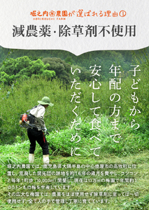 2589 ＜訳あり＞ つぶれ梅 梅干し かのや南高梅 食べ比べ G  （はちみつ梅×4、しそ梅×4、レモン風味×1） 計9袋 ×300g （計2.7kg） KN033-007-04