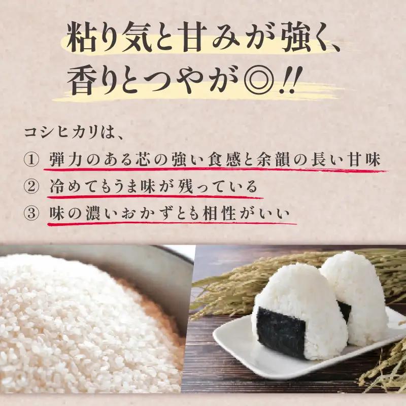【事前受付 国産 コシヒカリ】定期便3ヶ月 令和8年度産 お米 10kg  タタラ商店 静岡県 牧之原市