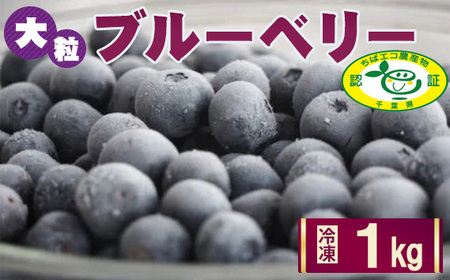 No.028 ［栽培期間中農薬不使用］大粒冷凍ブルーベリー1kg「るりしずく」　千葉県芝山町産 ／ 新鮮 果物 果実 フルーツ ブランド 朝摘み 完熟 みずみずしい スムージー トッピング 朝食 おやつ デザート 間食 子供 贈答用 チャック付 送料無料 千葉県