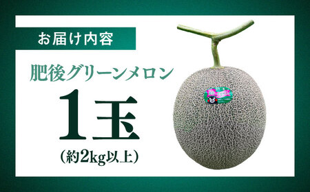 【先行予約】 【数量限定】 山鹿の恵み! 匠の育てた　肥後グリーン メロン 約2㎏以上（約2kg以上×1玉）【きもと農園】[ZFQ002]
