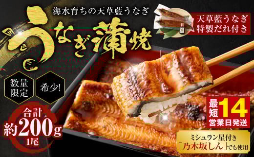 【ミシュラン星付きのプロが愛用】1日10セット限定！海水育ちの天草藍うなぎ 蒲焼き 1尾セット【合計約200g】 数量限定!! 鰻 ウナギ うなぎ うなぎ蒲焼 鰻の蒲焼 うなぎ 国産