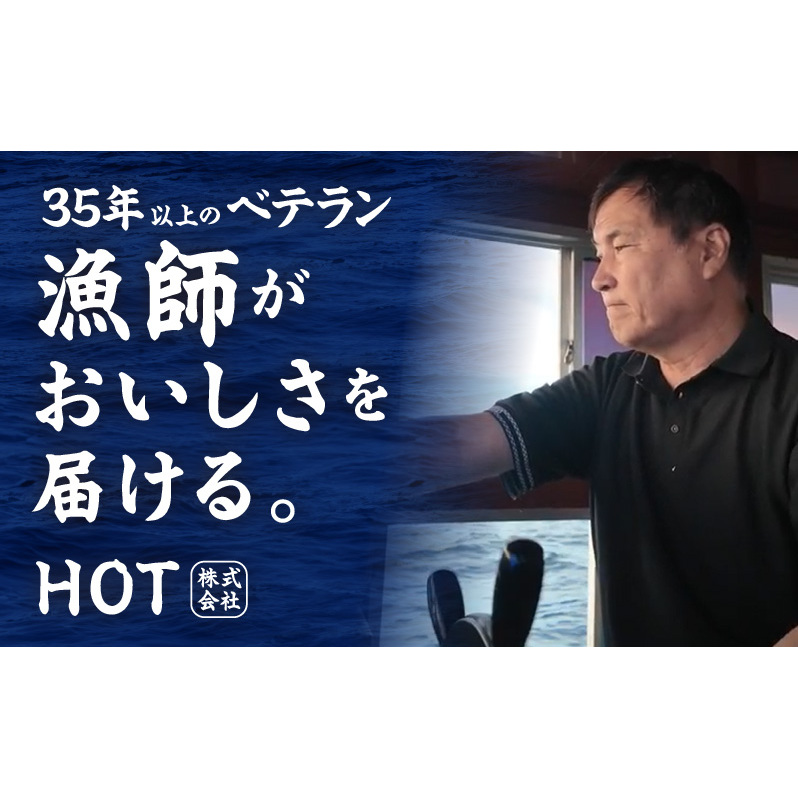 ちりめん山椒しらす 600g×全6回【定期便 小分け シラス しらす sirasu 海鮮 人気 おすすめ 産地直送】 G2192_イメージ5
