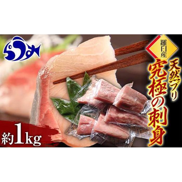 羅臼産 天然 ブリ 究極の刺身（約1kg） 令和5年度産 鰤 切身 真空パック 小分け しゃぶしゃぶ 魚 ぶり大根 生産者 支援 応援