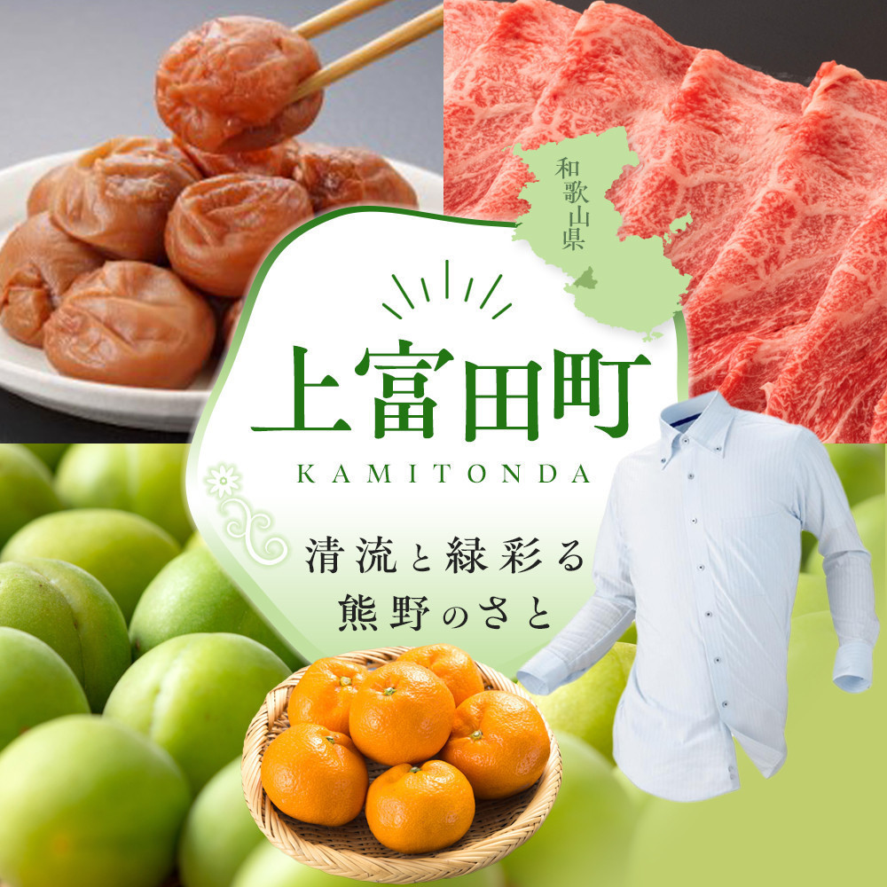 家庭用 冷凍梅 約2kg 紀州 南高梅 青梅 黄梅 完熟梅 訳あり［IKE332］