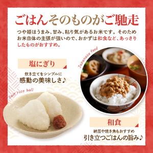 【令和7年産米】2026年5月下旬発送 特別栽培米 つや姫10kg（5kg×2袋）山形県産 【JAさがえ西村山】