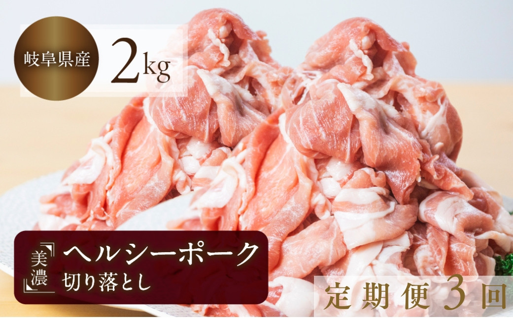 
            【定期便3回】豚肉 切り落とし 500g × 4 計2kg 美濃ヘルシーポーク | 豚肉 肉 小間切れ 小分け ぶた ブタ 切落し きりおとし 冷凍 トキノ屋食品
          