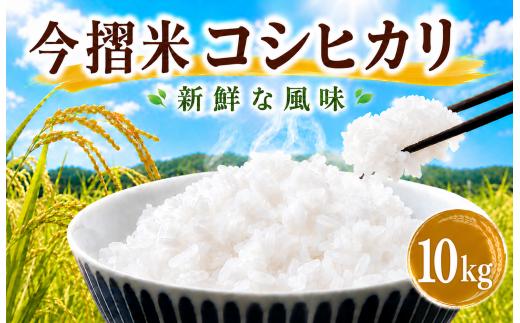 今摺米 特別栽培米 コシヒカリ 10kg 令和7年産 JA ブランド米 米 お米 米10kg 精米 いまずりまい ごはん こめ おむすび おにぎり 弁当 おかず 色彩選別 鮮度 雪解け水 贈答 ギフト 国産 新潟 新発田 JA北新潟 こったま～や D50_02