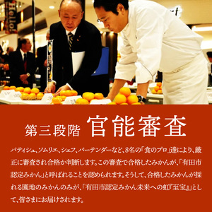 有田市認定みかん「未来への虹」至宝(5kg)【日本初自治体認定フルーツ】(B1-2)