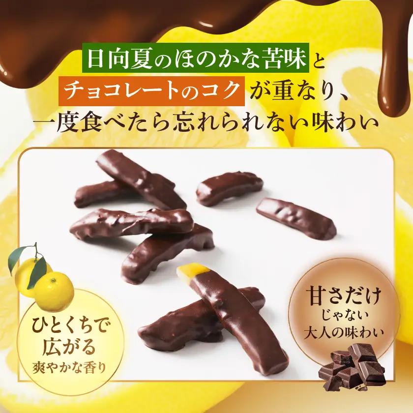 日向夏のエギュイエット〔LDK-C2-002〕_(都城市) 日向夏 エギュイエット チョコレート菓子 スイーツ 贈り物 2027年2月中にお届け