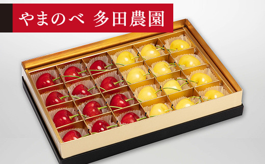 ≪2026年 先行予約≫さくらんぼ 珠玉の月山錦・紅秀峰 みやび箱 24粒「やまのべ多田農園」 F2Y-1380