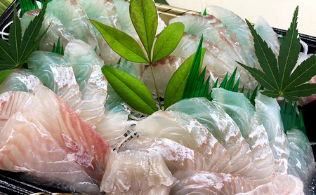 淡路島産 天然 ヒラメの造りとアカシタビラメの切り身 ヒラメ 魚 魚介類 兵庫県 洲本市 淡路島