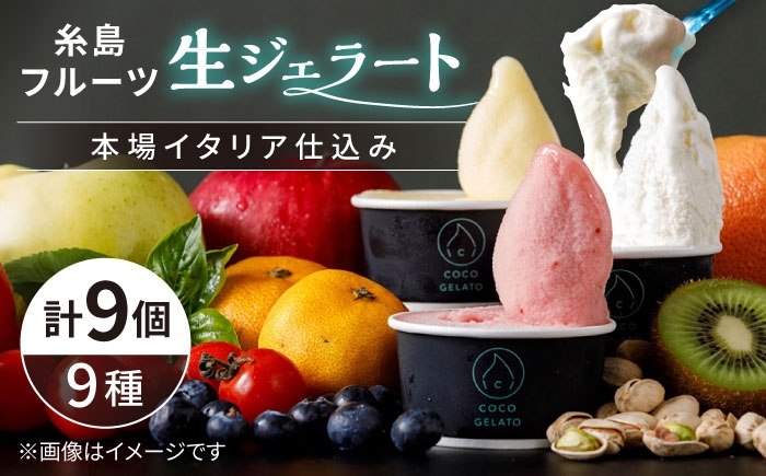 
                  糸島 フルーツ 生ジェラート 9個セット 糸島市 / COCO GELATO [AON001]
                