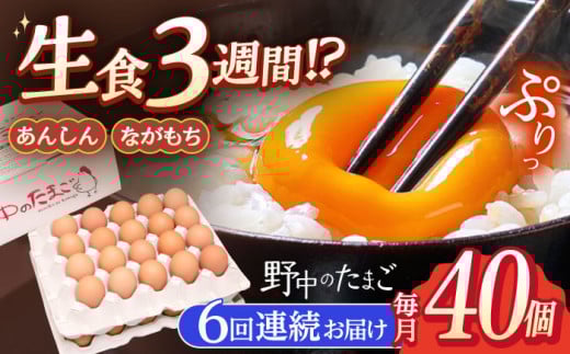 【6回定期便】産みたて新鮮卵 野中のたまご  40個×6回 計240個【野中鶏卵】[OAC005] / 卵 たまご 長持ち 濃厚 玉子 卵 濃厚 タマゴ 鶏卵 オムレツ 卵かけご飯 卵焼き 卵 おいしい 美味しい たまご 料理 新鮮 卵 自宅 贈答