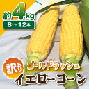 【ふるさと納税】【先行受付2025年発送】訳あり東御市産とうもろこし（ゴールドラッシュ）約4kg（8〜12本）｜スイートコーン ※2025年7月上旬頃〜9月中旬頃に順次発送予定※着日指定不可