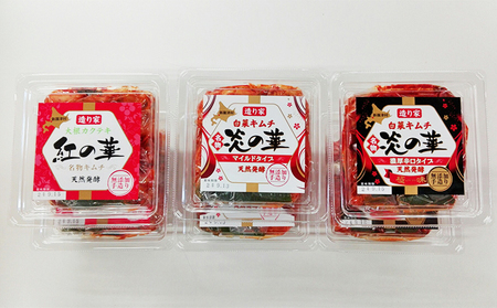 「炎の華」白菜キムチ（マイルド・濃厚辛口）・大根カクテキ　各280g×2個　計6個