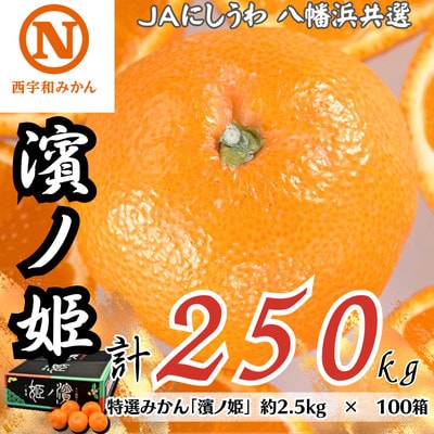 特選みかん「濱ノ姫」計250kg(約2.5kg×100箱)【H08−80】【1510457】