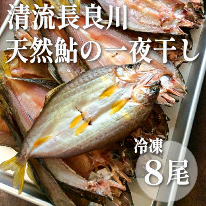 【ふるさと納税】【皇室献上御料場近郊】川漁師の天然鮎/一夜干し
