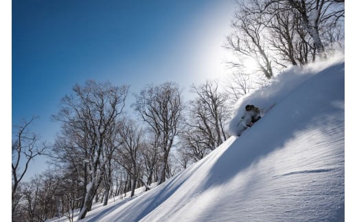 [ シニア ] 1日早割りリフト券 10枚セット 夏油高原 スキー場 早割 前売り リフト 1日券 スキー リフト チケット 日帰り 観光 アクティビティ 旅行 スノーボード ウィンタースポーツ レジャー岩手県 北上市 Q0244
