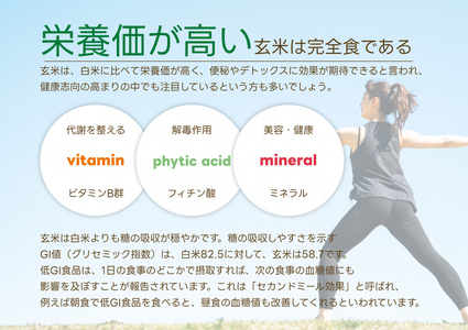 【12ヶ月定期便】【炊飯器で普通に炊ける玄米】 ふっくら玄米食 6kg（2kg×3）×12回 新潟県阿賀野市産 米杜氏 壱成 特別栽培コシヒカリ 1H35120