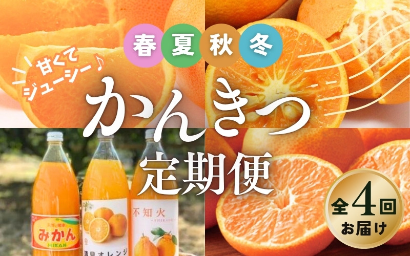 【全4回】 柑橘 定期便 石本果樹園 旬の柑橘を春夏秋冬でお届け！ /  フルーツ 果物 くだもの 柑橘 フルーツ定期便 くだもの定期便 定期便 みかん ミカン 温州みかん せとか カラマンダリン ジュース 産地直送 旬 人気 おすすめ 三重県 紀宝町【tkb508】