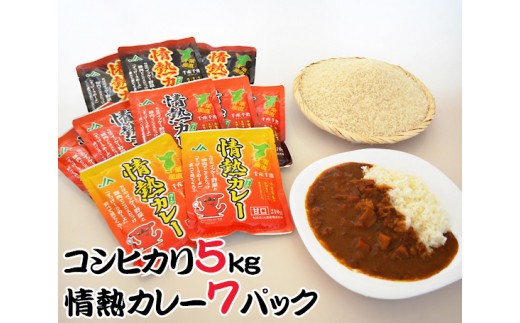 
No.019 精米コシヒカリ5kgと情熱カレーセット ／ お米 白米 こしひかり レトルトカレー 千葉県
