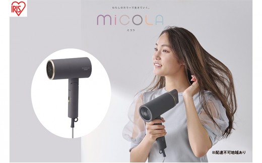 
                  アイリスオーヤマ ドライヤー HDR-M201-H ダークグレー ミコラ MiCOLA イオンドライヤー マイナスイオン 大風量 速乾 ヘア ヘアケア 折りたたみ 持ち運び 軽量 電化製品 家電 宮城 宮城県 大河原 大河原町
                
