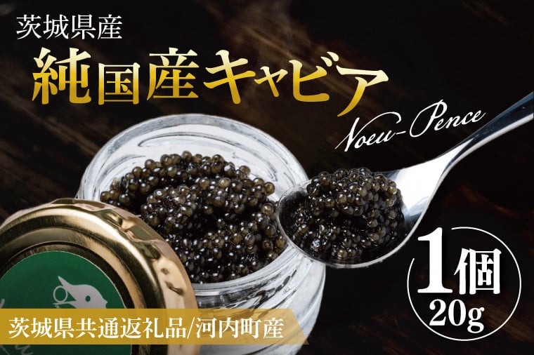 
            【先行予約】【12月上旬~中旬発送】【茨城県共通返礼品/河内町】純国産キャビアVoeu-Pence 20ｇ×1個【数量限定 茨城県河内町】(78-01)
          