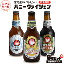 【ふるさと納税】 【 お中元 熨斗 付き 】 ハニーヴァイツェン 入り 飲み比べ 3種 8本 セット C 常陸野ネストビール ビール クラフトビール ネストビール 木内酒造 飲み比べ はちみつ 夏ギフト