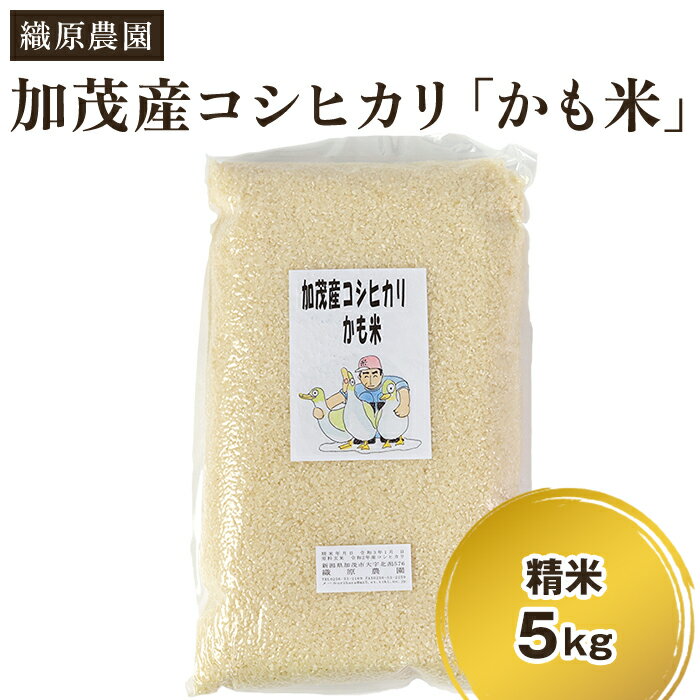 【ふるさと納税】【令和7年産新米先行予約】新潟産コシヒカリ「かも米」精米5kg《10月上旬～順次出荷》 白米真空パック 【無農薬・無化学肥料】 従来品種コシヒカリ 加茂市 織原農園
