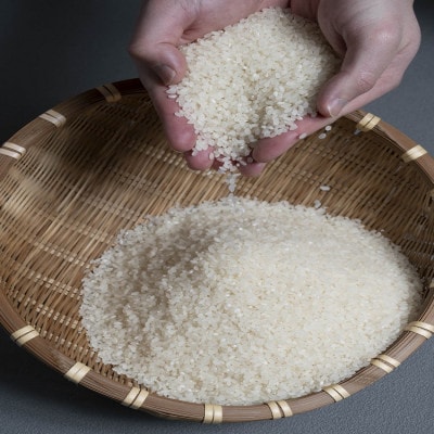 令和8年 北海道深川産 ゆめぴりか 5kg×2袋