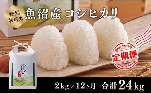 12カ月定期便【特別栽培米】頂米金兵衛 魚沼産コシヒカリ（精米）2kg お米 コメ 
