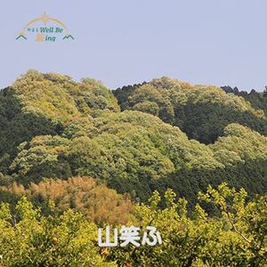 フォトグラファー小平尚典と行く「山の辺の道」撮影ツアー　【1泊2日】　2026年4月7～8日催行【1703499】