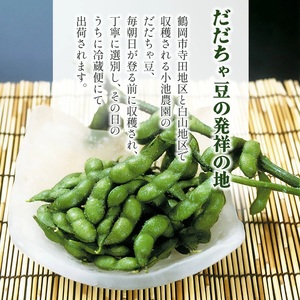 【令和8年産先行予約】【鶴岡の夏の旬を伝える】 小池農園のだだちゃ豆 【おうら】 1.8kg（600g×3袋）K-832