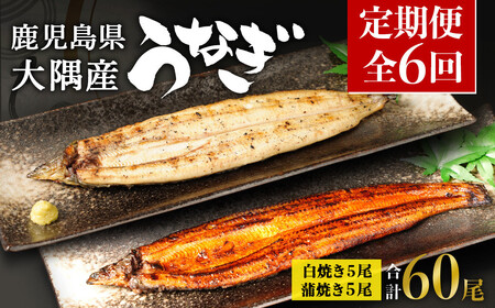 【定期便全6回】 鹿児島県 大隅産 千歳鰻 白焼き 5尾 ・ 蒲焼 5尾 （1尾110g～130g）| 白焼き