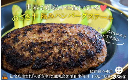 
2125～世界は美味しいに溢れている～徳之島生まれ「のざき牛」＆鹿児島黒毛和牛 極みハンバーグステーキギフト（150g×6個）( のざき牛 鹿児島黒毛和牛 日本一 肉汁 牛肉 冷凍 プレミアム 満足 人気 老舗肉店 徳之島 鹿児島 )
