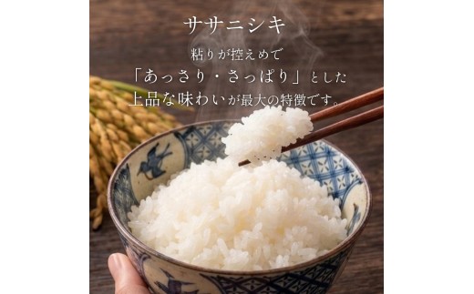 【 令和8年産 】 新米 ササニシキ 15kg 宮城県 石巻市産 精米 鮮度優先 米 お米 白米 ブランド米 単一原料米 産地直送 ごはん お弁当 宮城県 石巻市