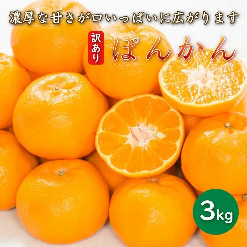 【先行予約】訳あり 減農薬 ポンカン 3kg 愛南フルーツ 【2027年1月中旬～発送開始】