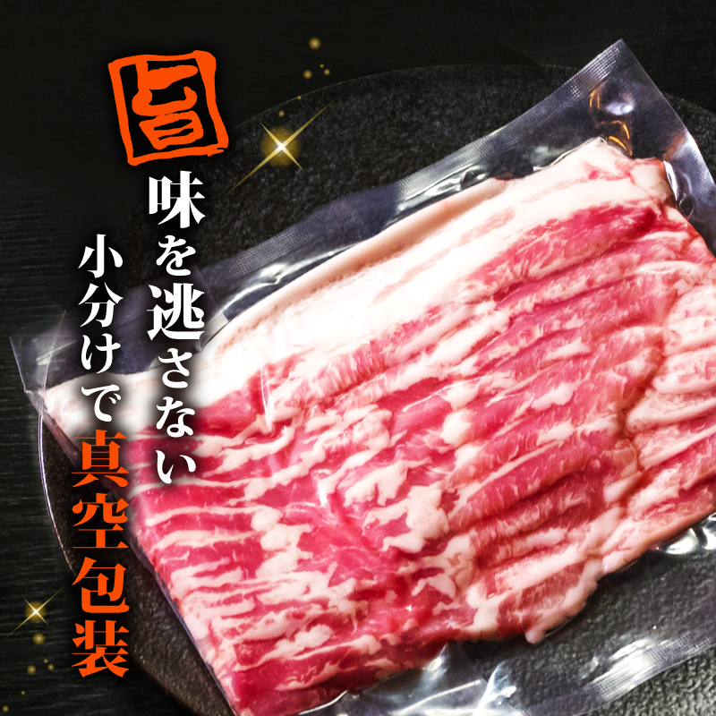 【定期便6回】四万十ポークスライス 計7.2kg（1.2kg×6ヶ月連続お届け) 2Fコース | 豚肉 豚バラ肉 小分け 小間切れ スライス 切り落とし 冷凍 真空パック 簡単調理 細切れ 大容量 肉