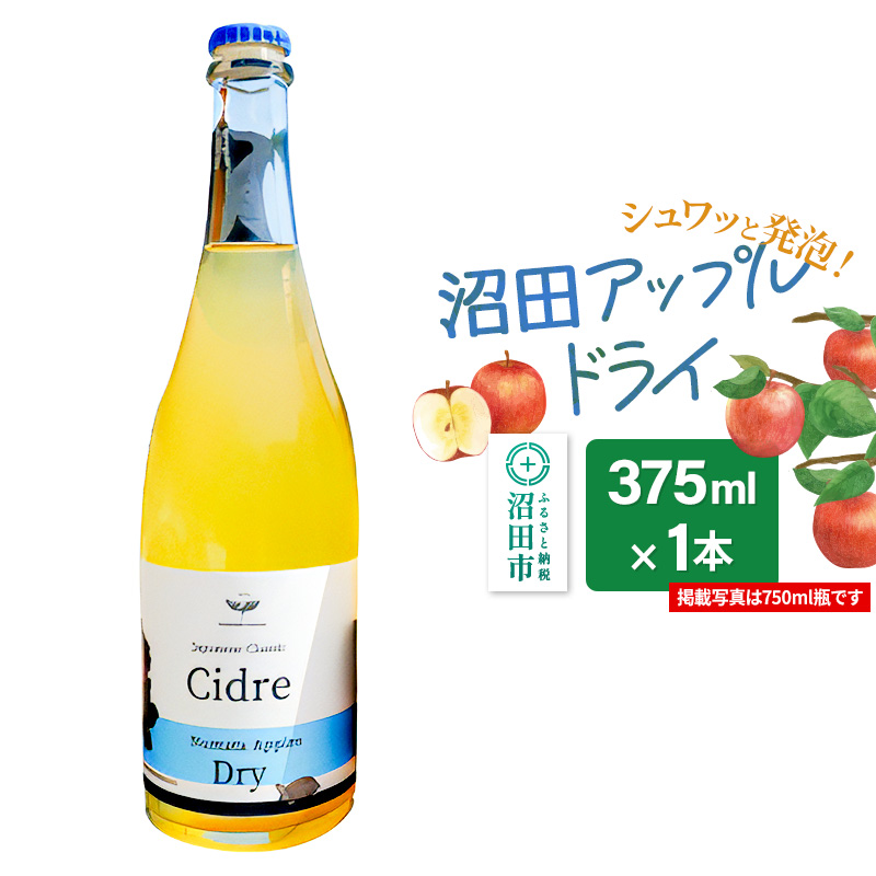 《SISGA部門最高賞》沼田アップルドライ（辛口）375ml×1本 Fukiware Cidrerie
