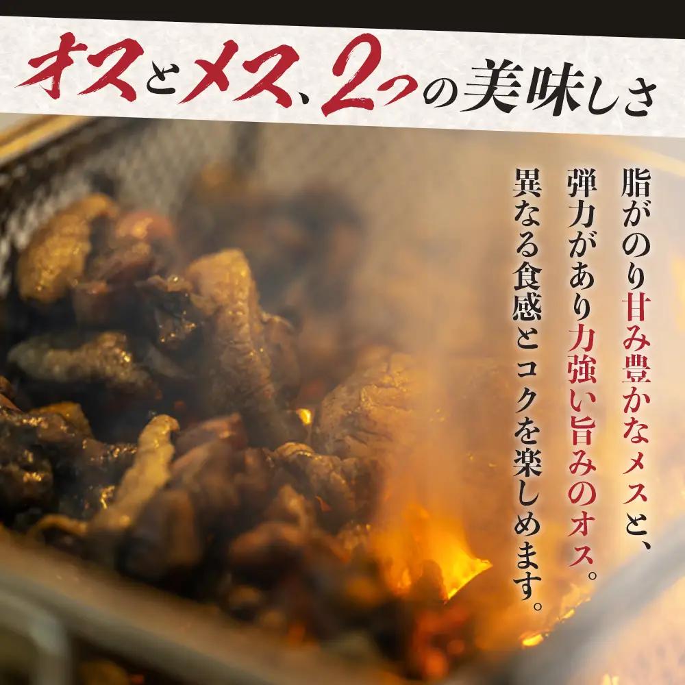 みやざき地頭鶏 オスメス食べ比べ モモ肉 セット 冷凍｜鶏肉 地鶏 モモ肉 カット肉 唐揚げ 焼き鳥 チキン南蛮 じとっこ 真空パック 興洋開発株式会社 宮崎県 諸塚村 KY-06