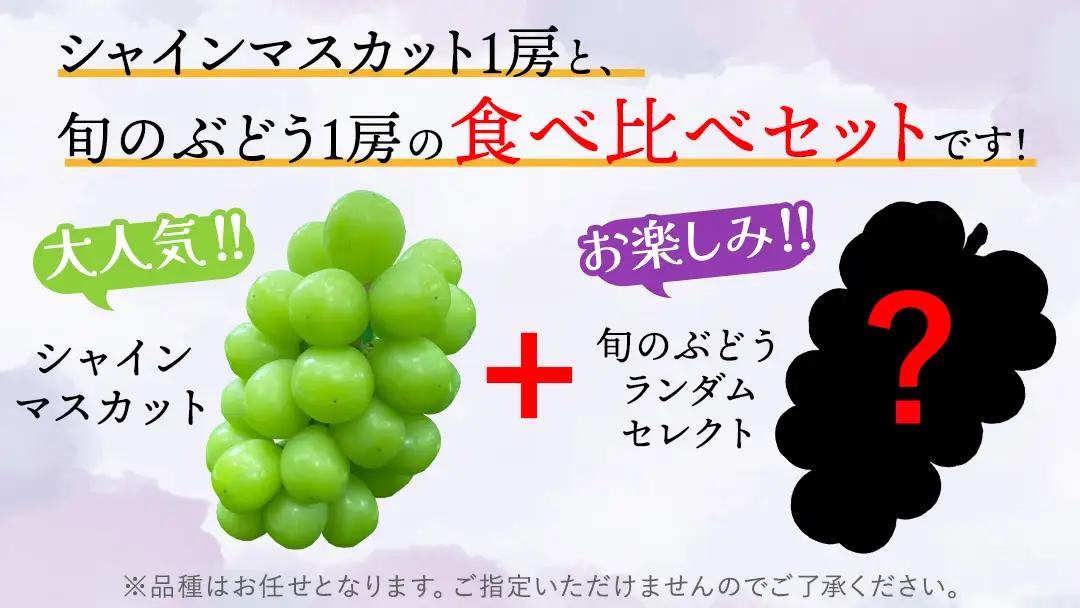 ぶどう食べ比べ 2房（約1kg）旬のぶどう＆シャインマスカット 【2026年9月下旬発送開始】 (DH005)