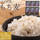 【ふるさと納税】内子町産 もち麦（3kg） | 食品 加工食品 人気 おすすめ 送料無料