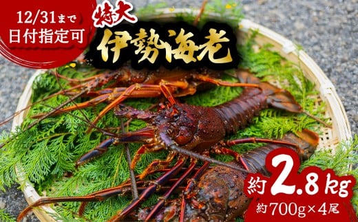 伊勢海老 特大 約2.8kg 約700g×4尾 伊勢えび 伊勢エビ いせえび イセエビ 海老 えび エビ 海鮮 海産物 海の幸 おせち 高級 国産 海鮮 ギフト