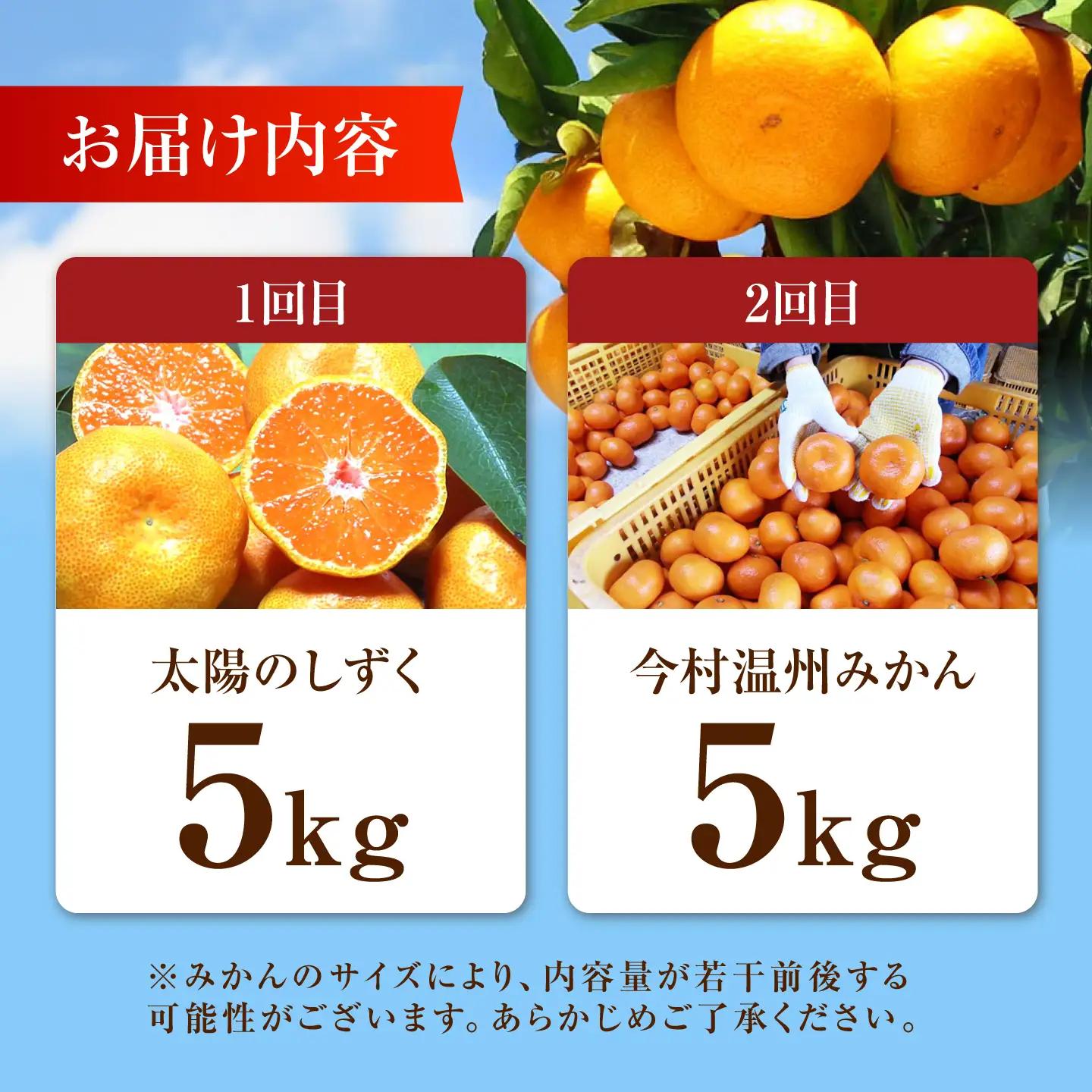 食べくらべ定期（太陽のしずく・今村温州みかん）[HCE003] みかん 果物 FN-Limited-SP